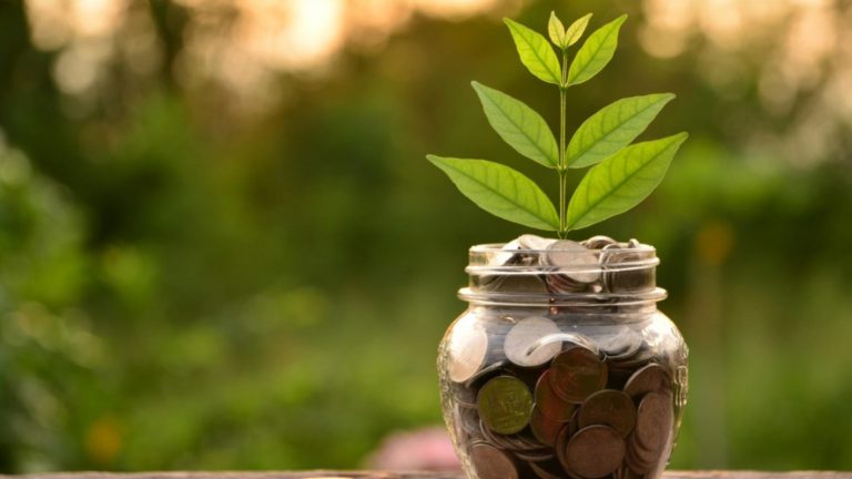 4 Types of Durable Flooring For The Sustainability Of Your Business